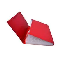 CLASIFICADOR 12 DIV.A4 KOBY/DATA ROJO