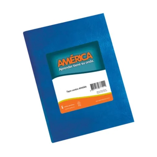 CUADER T/D X 42 AMERICA AZUL RAYADO