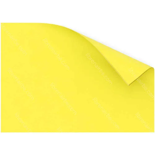 [27996] GOMA EVA LISA 45X60 EFREN AMARILLO 011/031